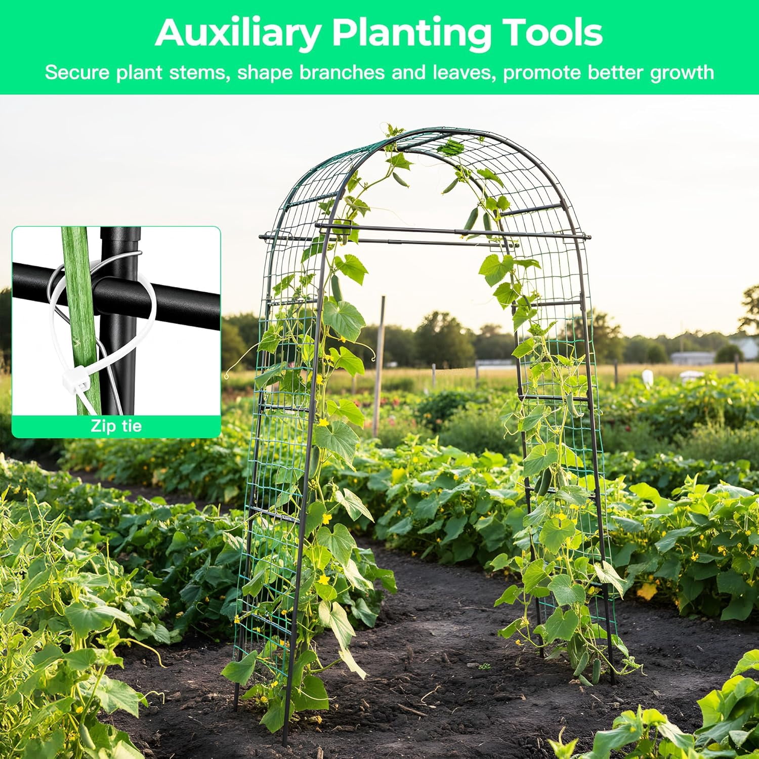 Garden Arch Trellis for Climbing Plants, 82 Inch Tall Metal Vine Support with Clamp Netting for Outdoor Flower Vegetable Tomato Cucumber Garden Decoration