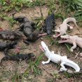 thumbnail image 2 of Original Wild Savage Crocodile Simulation Chinese Alligator Boar Croc Nile Crocodile Action Figures PVC Collection Kid Toy, 2 of 6