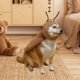 thumbnail image 1 of Disfraz de perro, capa, disfraz de cosplay, ropa de perro con decoración suave, ajustable para disfrazarse de Halloween, cachorro, animal y . M, 1 of 8