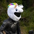 thumbnail image 5 of Fun Rides and Gifts - Moto Loot Helmet Cover, 5 of 5
