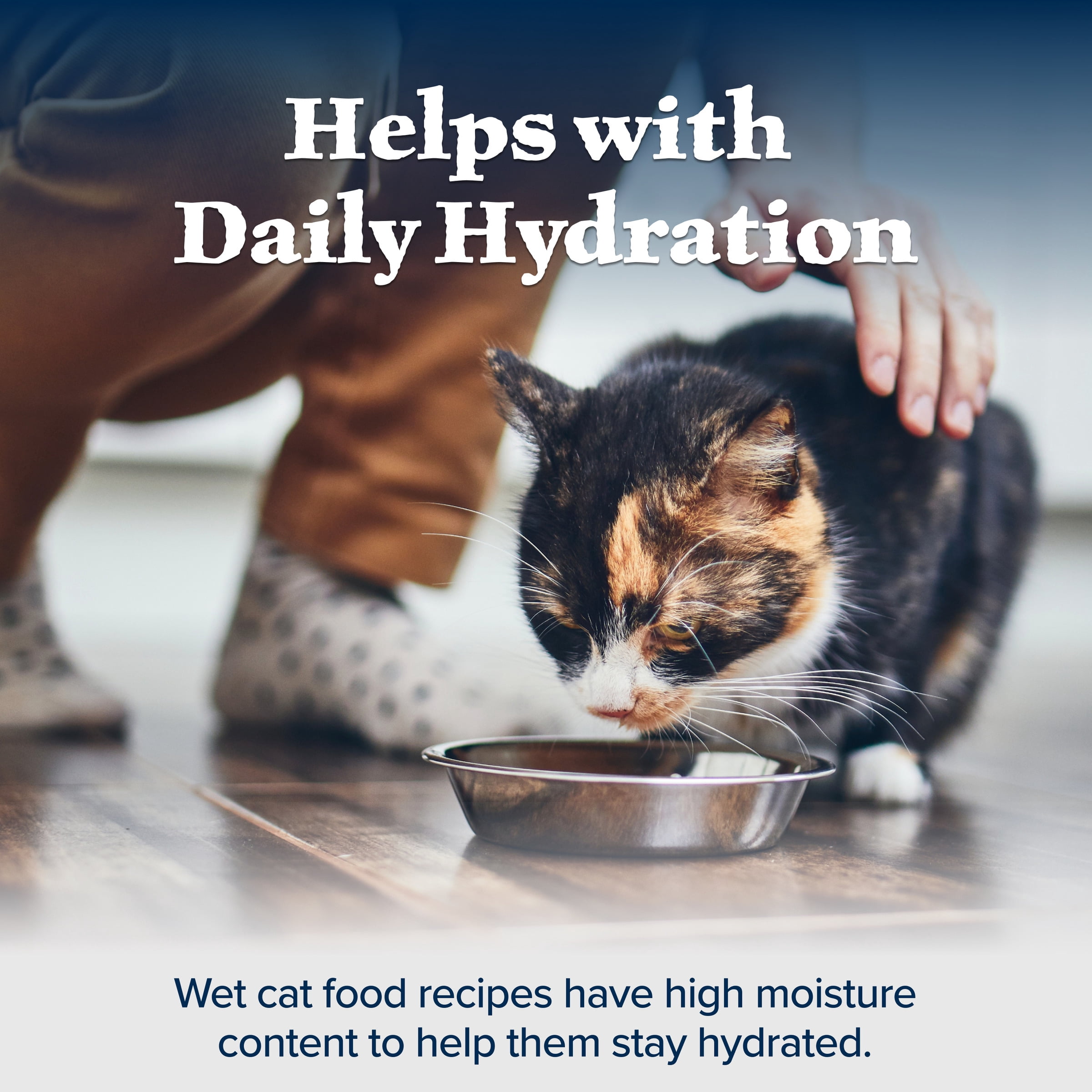 Blue Buffalo Wilderness High-Protein Adult Cat 7+ Wet Food, Chicken, 5.5-oz Can