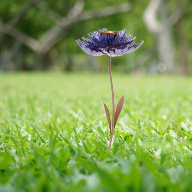 Comedero para pájaros Comederos para colibríes Comederos para pájaros salvajes Comedero para pájaros salvajes para Azul Cola Alimentador al aire libre