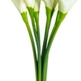 thumbnail image 4 of Vickerman 14'' Artificial White Calla Lily. Eight stems per pack., 4 of 8