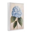 thumbnail image 2 of Stupell Industries Cottage Baby Blue Hydrangea White Framed Giclee Art, 12 x 18, by Petals Prints Design, 2 of 8