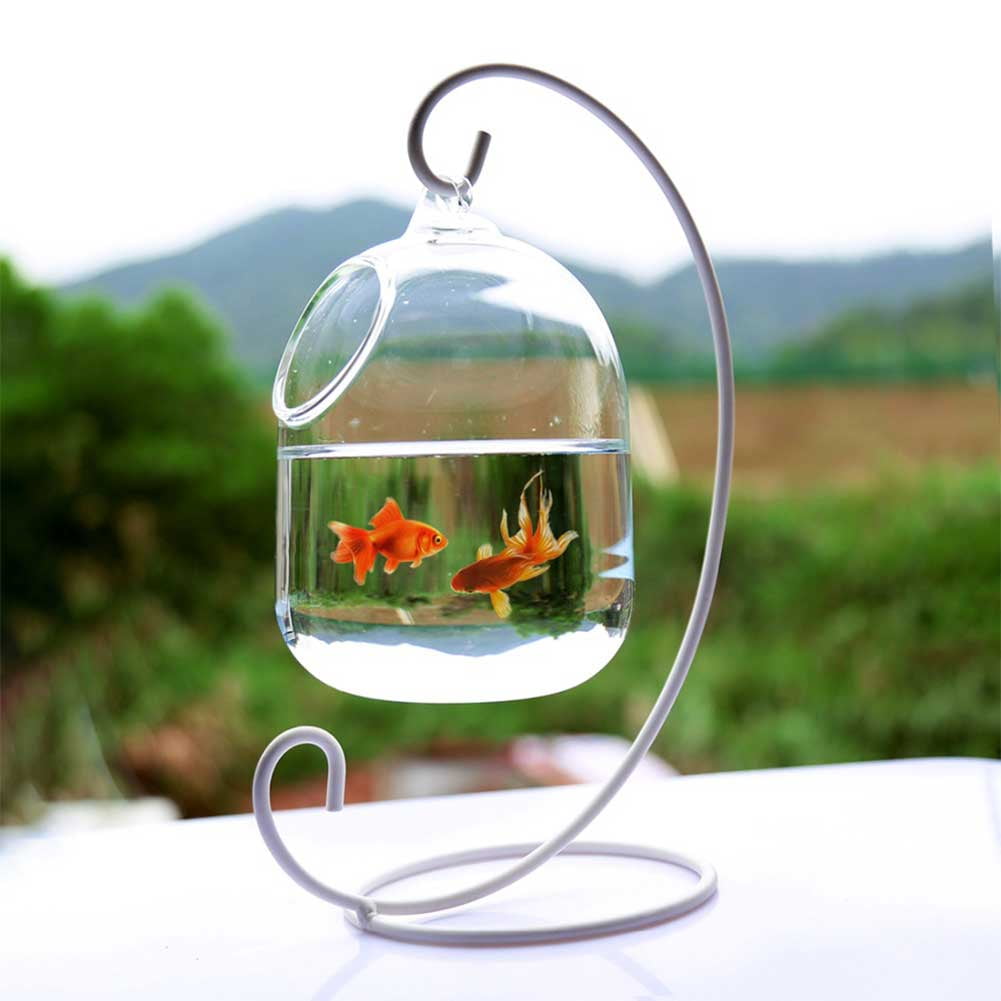 hanging glass fish tank
