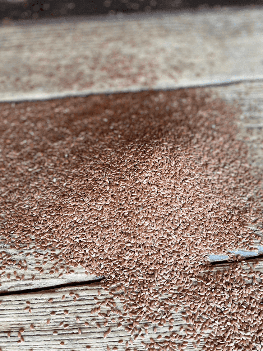 Unearthed Whole Flax Seed - 50 lbs, Plant-Based Protein, Gluten-Free, Non-GMO, Kosher, Vegan, Raw Seeds, Rich in Omega-3,  Great for Baking, Topping, Smoothies & Beverages