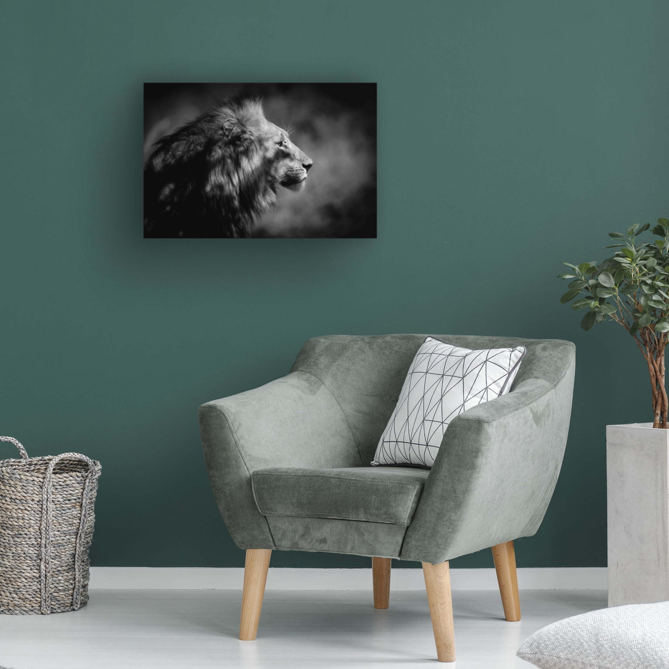 Trademark Fine Art Xavier A The Male Canvas Wall Art