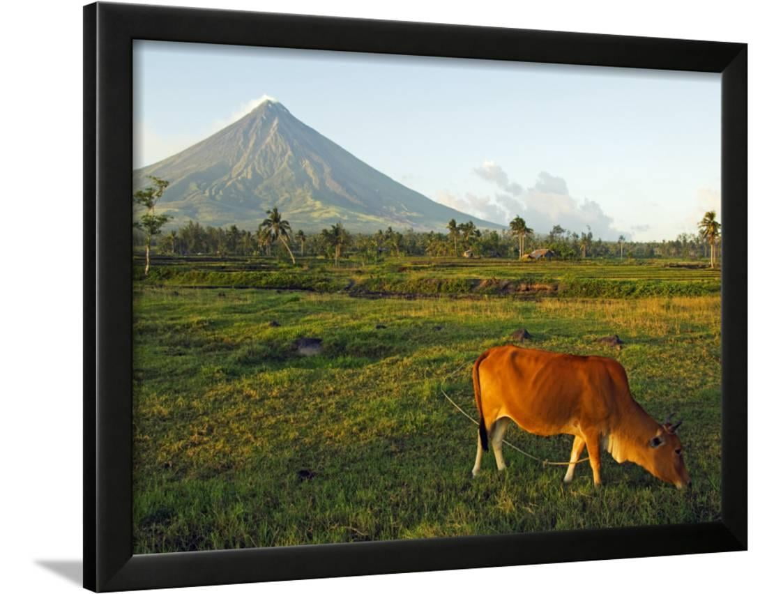 Luzon Island Bicol Province Mount Mayon Volcano Philippines