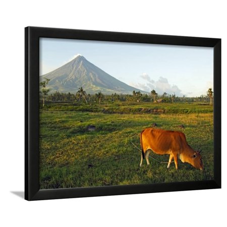 Luzon Island Bicol Province Mount Mayon Volcano Philippines