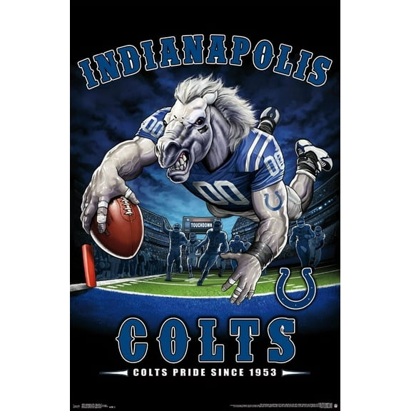 Indianapolis Colts - End Zone Laminated Poster Print (22 x 34)
