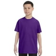 thumbnail image 1 of Hanes Hn 5450 Yth 6.1 Oz Authentique, 1 of 1