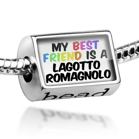 Bead My best Friend a Lagotto Romagnolo Dog from Italy Charm Fits All European