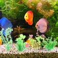 thumbnail image 4 of unbranded 12Ud Artificiales De Acuario Compactas Para Y En, 4 of 6