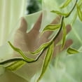 thumbnail image 3 of DA BOOM Wicker offset printed Curtain of Muslin cool window Pastoral floral Curtains Living, Dining, Bedroom, 3 of 3