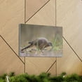 thumbnail image 6 of Zebra Dove Hunting Zebra Dove on Hunt Print Animal Wall Art Wildlife Canvas Prints Wall Art Ready to Hang Unframed, 6 of 18