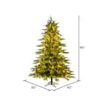 thumbnail image 2 of Vickerman 7.5' x 62" Kamas Fraser Fir Tree, 1550 Warm White Low Voltage 3MM LED Lights., 2 of 3