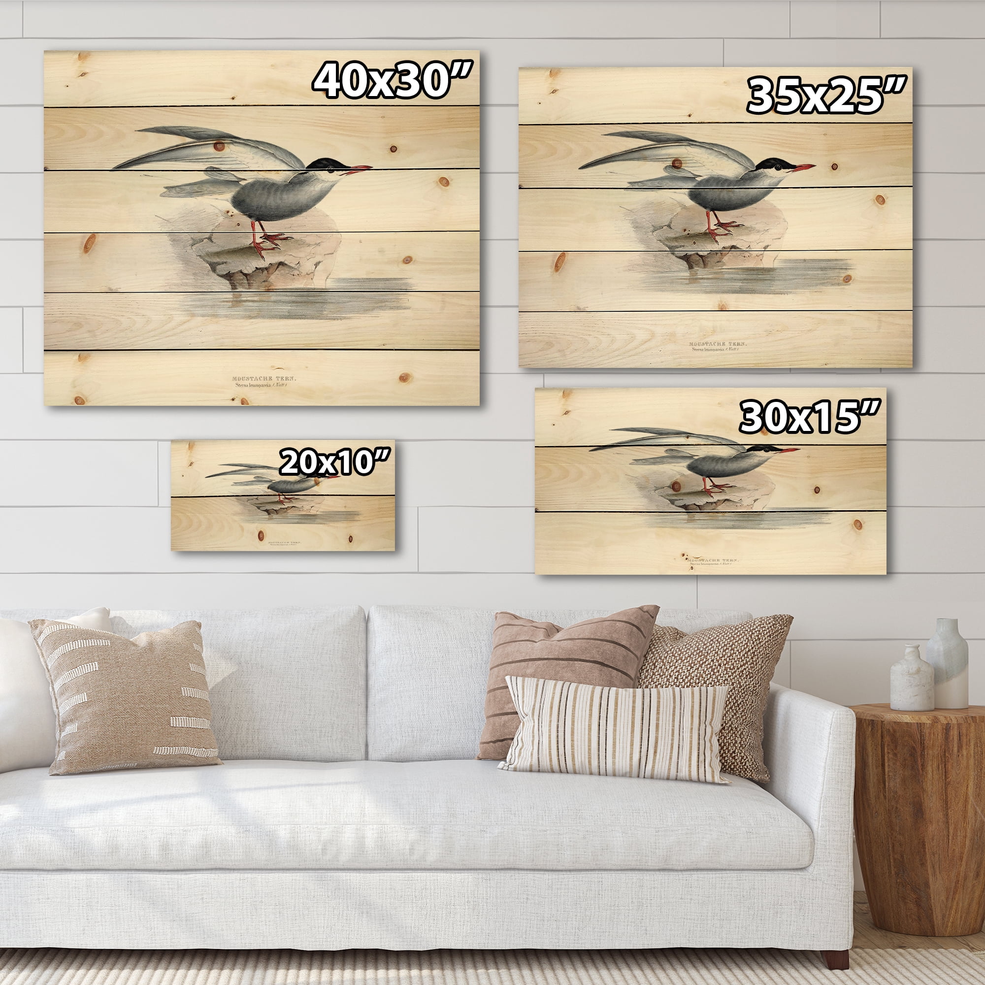 Designart 'Ancient Bird Of Europe I' Traditional Print on Natural Pine Wood