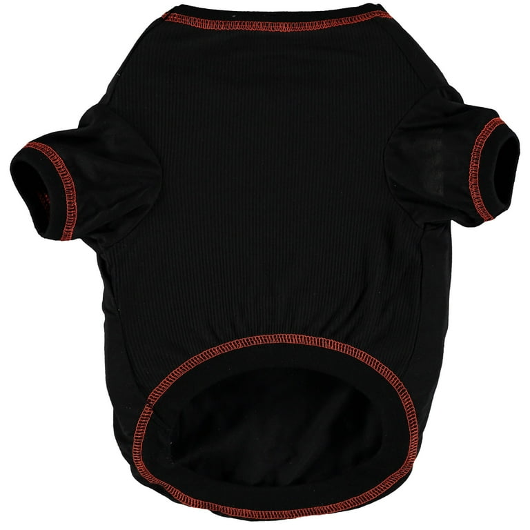 Cincinnati Bengals Dog Apparel and Accessories