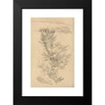 thumbnail image 2 of George Richmond 13x18 Black Modern Framed Museum Art Print Titled - Study of Trees, etc., in a Meadow (1866), 2 of 5