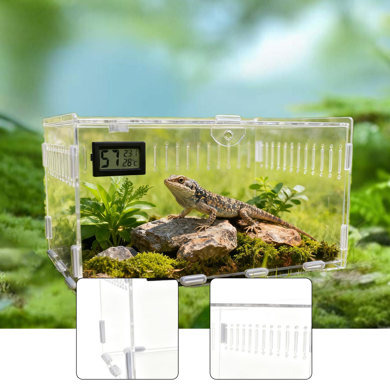 Reptile Tank Acrylic Spider Enclosure Terrarium with Easy Cleaning for Frogs Hermit Crabs Living Room