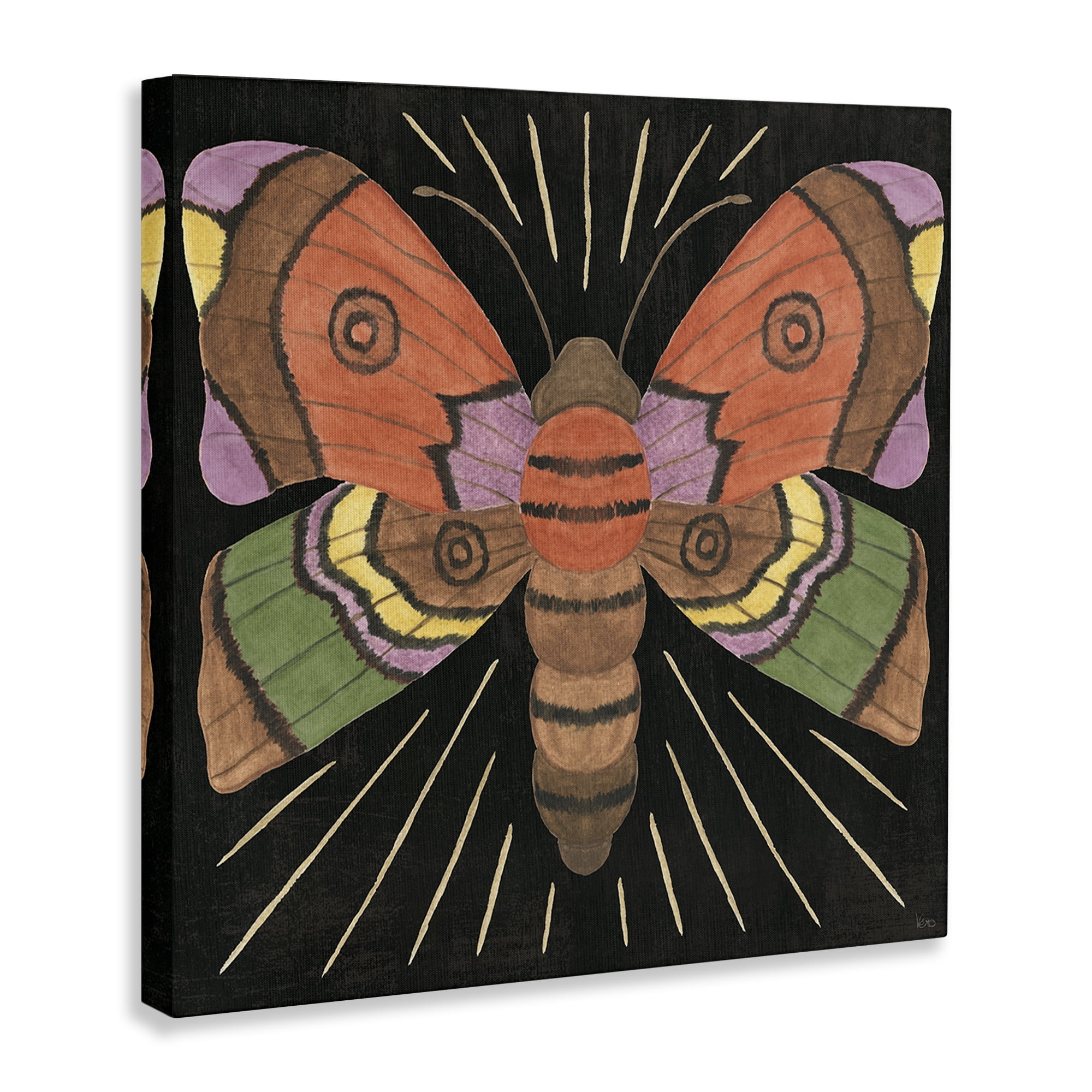 Stupell Industries Spooky Chic Moth Animals Painting Wrapped Canvas Art Print Wall Art, 24 x 24