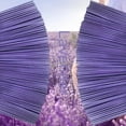 thumbnail image 3 of 50/100/150pcs Lavender Aromatherapy Wood Sticks, 8.66 Inches, Home Decoration, Hotel And Spa Atmosphere, Perfect Choice for Holiday Gifts, 3 of 8
