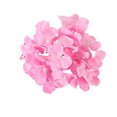 thumbnail image 1 of maskred 10bags Beautiful Wedding Wall Decoration With Simulation Hydrangea Head Color Is Bright And Simulation Is High Cloth E46 Deep Pink, 1 of 1