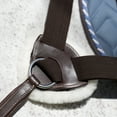thumbnail image 2 of Equinavia Saga 5-point Breastplate, 2 of 6