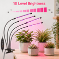 thumbnail image 5 of DAYBETTER LED Grow Lights for Indoor Plants, 4 Heads Clip Grow Light Auto ON/Off with 3/9/12H Timer, with 10 Dimmable Brightness for Indoor Plants, 5 of 7