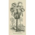 thumbnail image 2 of Wild Apple Portfolio 14x24 Gold Ornate Wood Framed with Double Matting Museum Art Print Titled - Creators Wonders Book Palm, 2 of 4