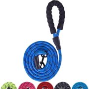 5/6 FT Dog Leash with Comfortable Padded Handle, Metal Slide Hook, HIgh Reflective Thread for Night Safety andDog Leash Suitable for Small Medium and Large Dogs (Royal Blue, 5 FT)