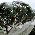 thumbnail image 4 of Filet Durable 2x10m, Filet de Protection pour Plantes Serre Parc Plantes en Pot, 4 of 8