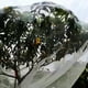 thumbnail image 3 of Redes Protectoras De Plantas, Red De Prevención De Insectos Instalación Simple PP Para Jardín, 3 of 7