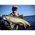 thumbnail image 3 of Northland Level-Head Predator Tube White/Chartreuse Top 1 1/2 oz, 3 of 4