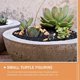 thumbnail image 5 of Mini Turtle Figurine Ornament for Micro Landscape Decoration 24Pcs, 5 of 5