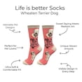 thumbnail image 2 of E&S Pets Soft Coated Wheaten Terrier Socks - Life is Better Socks for Pet Lovers - Cute Unisex Socks - One Size Fits Most, 2 of 3