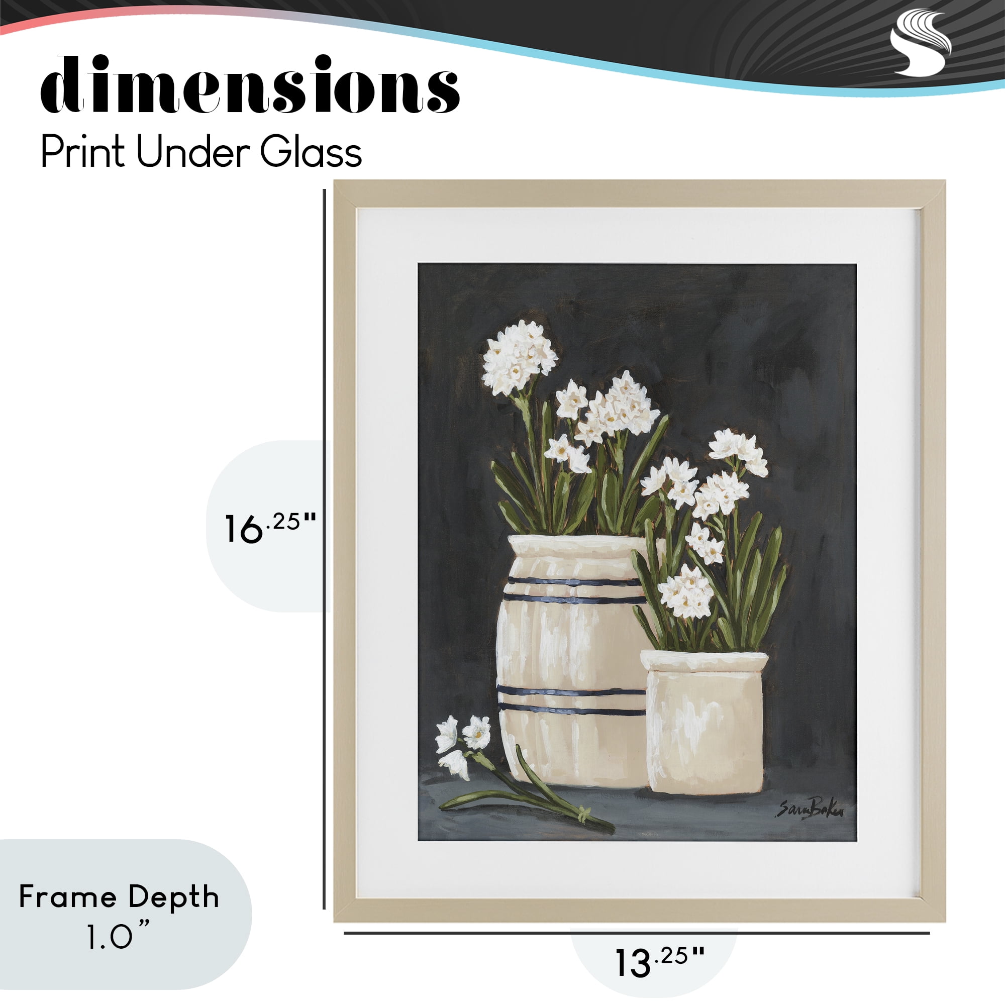 Stupell Industries Vintage Crocks & Paperwhites Birch Framed Print Under Glass, design by Sara Baker