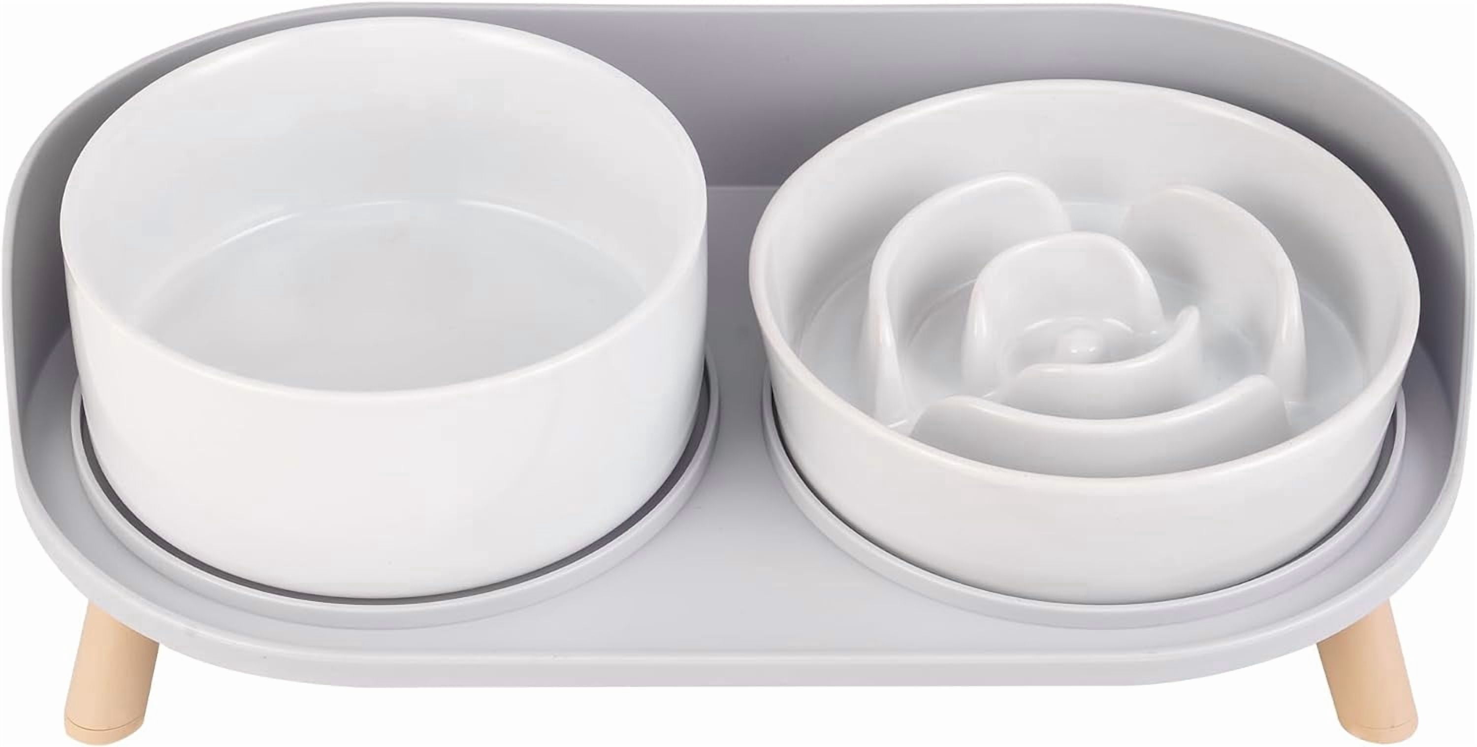 Elevated Ceramic Dog Bowl Set with Stand - Slow Feeder Raised Pet Dishes for Small and Medium Dogs