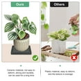 thumbnail image 5 of Uxcell Ceramic Plant Saucer, 4.9 Inch Plant Water Catcher Tray, Plant Pot Saucers for Indoor Plants [Square Black], 5 of 7