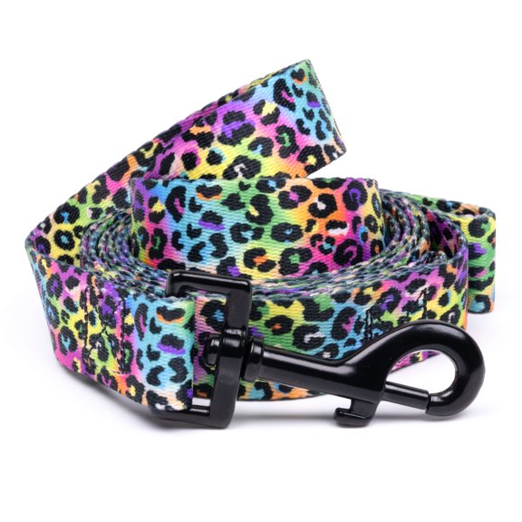 Country Brook Petz® 5/8 Inch Electric Leopard Everyday Dog Leash, 6 Foot