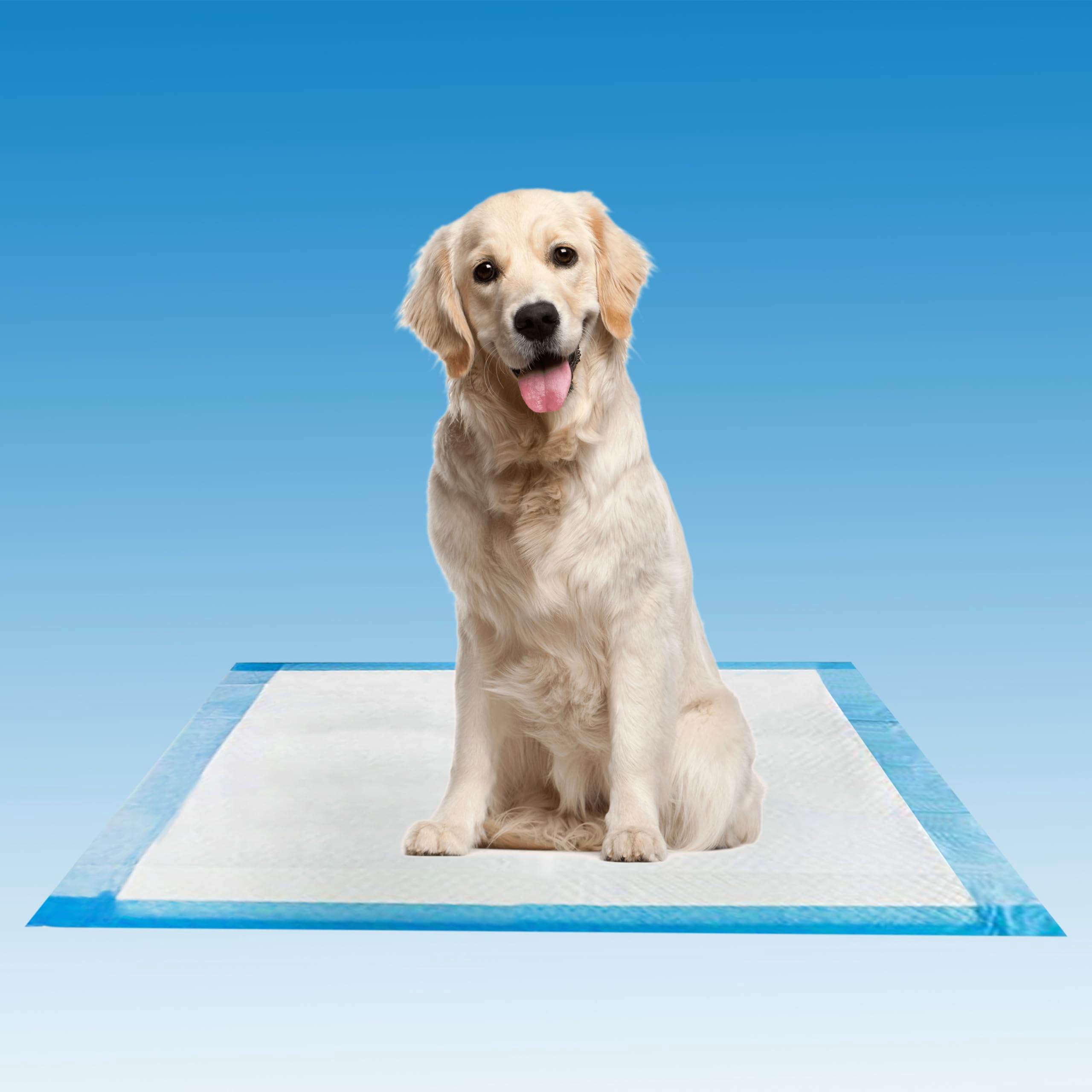 Henry Schein Disposable Underpads 23'' x 24'' (100-Count) Incontinence Pads, Bed Covers, Puppy Training | Thick, Leak Protection for Kids, Adults, Elderly | Liquid, Urine, Accidents