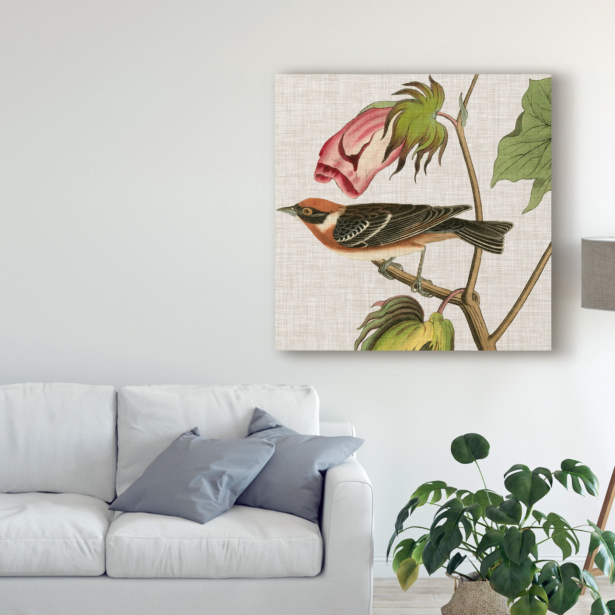 Trademark Fine Art 'Avian Crop VI' Canvas Art by John James Audubon