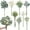 Sage Green, variant on 70 Pcs Artificial Greenery Stems Box Set,with 8 Kinds of Faux Plants and Fake Flowers for DIY Bridal Bouquets Wedding Floral Arrangement Table Centerpieces Decoration