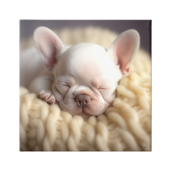 Stupell Industries Tiny Puppy Sleeping Animals & Insects Painting Gallery Wrapped Canvas Art Print Wall Art, 17 x 17
