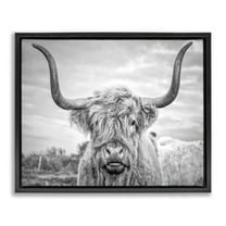 Stupell Industries Black and White Highland Cow Photograph Jet Black Framed Floating Canvas Wall Art, 16x20, by Joe Reynolds