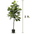 thumbnail image 5 of Fiddle Leaf Fig Tree (2Pack) - Artificial Trees for Home Decor Indoor, Faux Fiddle Leaf Fig Tree, Large Artificial Plants Indoor, Fake Tree Indoor, Fiddle Leaf Fig Tree Artificial Tree - 5 feet, 5 of 6