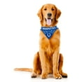 thumbnail image 4 of Indianapolis Colts Dog Bandanna Size L, 4 of 5