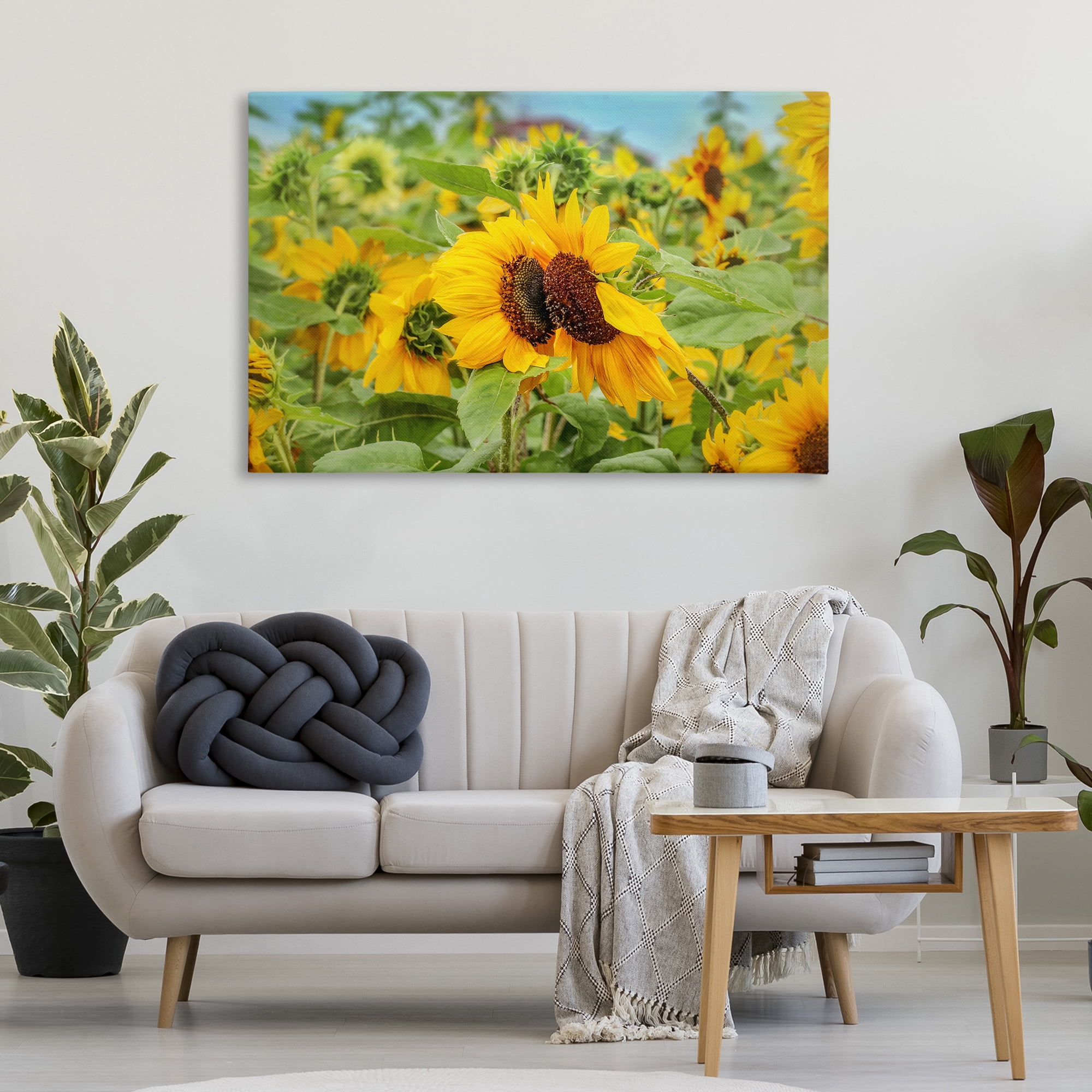 Stupell Industries Sunflower Field Photography Landscape Photography Gallery Wrapped Canvas Art Print Wall Art, 45 x 30