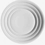 Rosenthal Thomas Ono Dinner Plate