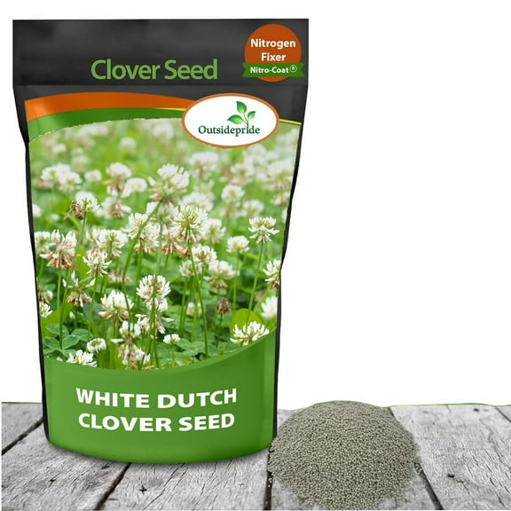 Outsidepride Perennial White Dutch Clover Seed MVR1 - 2 Nitrocoated, Inoculated Clover Seeds for Lawn Alternative, Erosion Control, Food Plots, Ground Cover, & Pasture Mixtures in USDA Zones 3-10